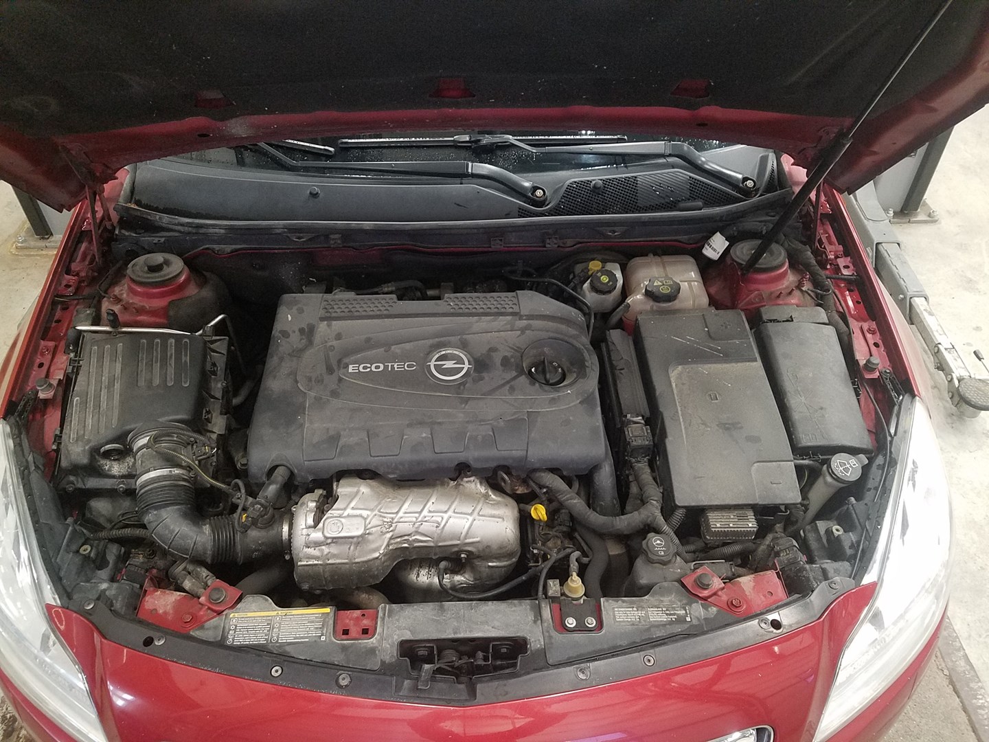 VIN: W0LGM87K491056697 Auction: COPART FINLAND Lot: 50123455 Location: Keskiviikon huutokauppa W0LGM87K491056697 Opel Insignia 2010 RED Photo 7