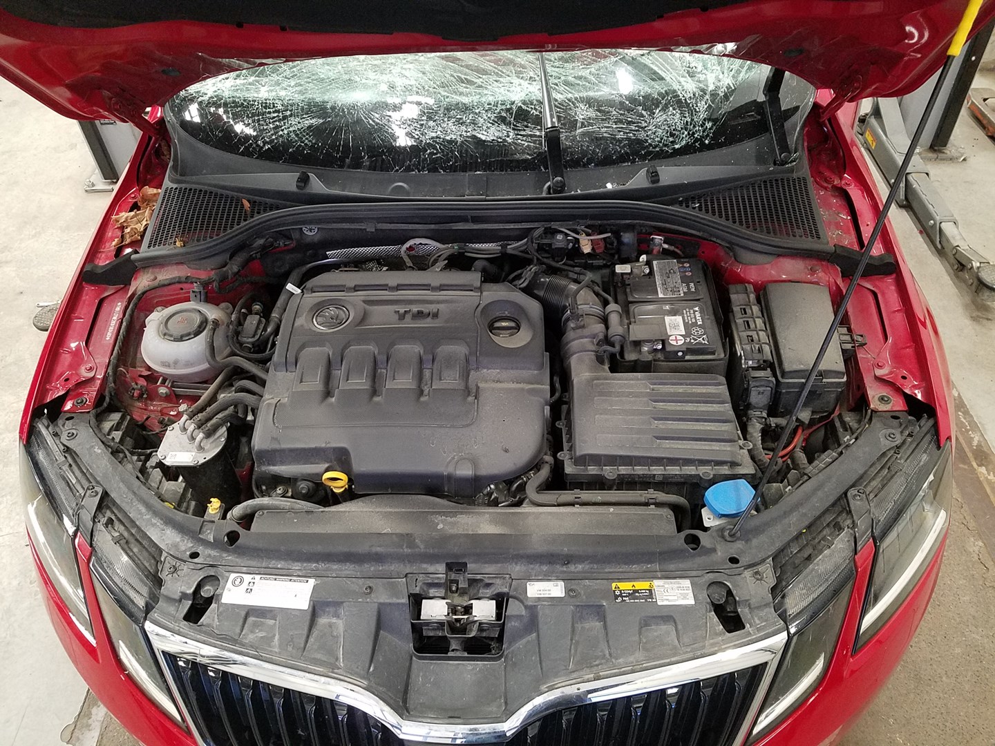 VIN: TMBJJ7NE2K0183483 Auction: COPART FINLAND Lot: 50123146 Location: Keskiviikon huutokauppa TMBJJ7NE2K0183483 SKODA Octavia 2020 RED Photo 7