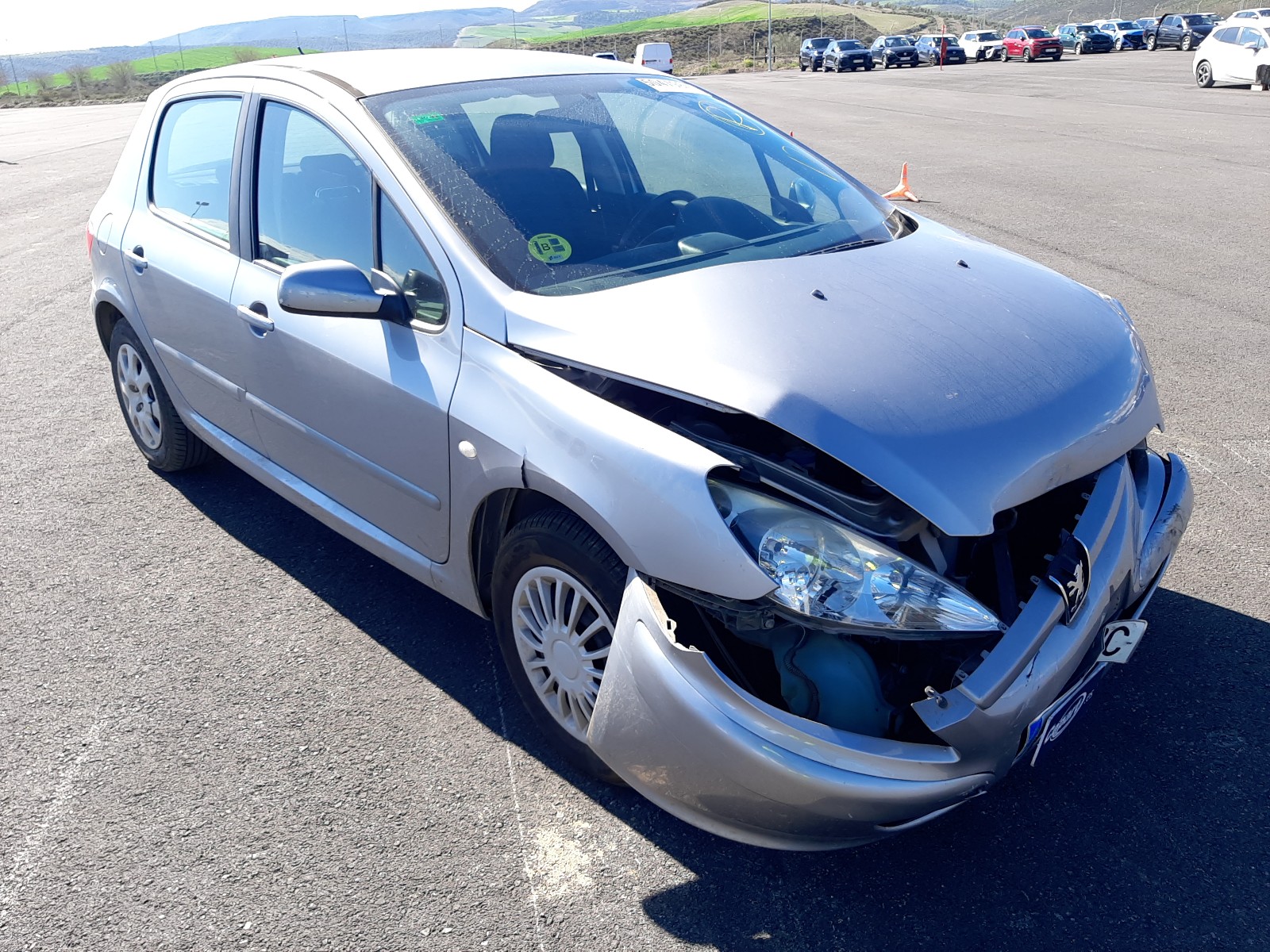 2004 Peugeot 307