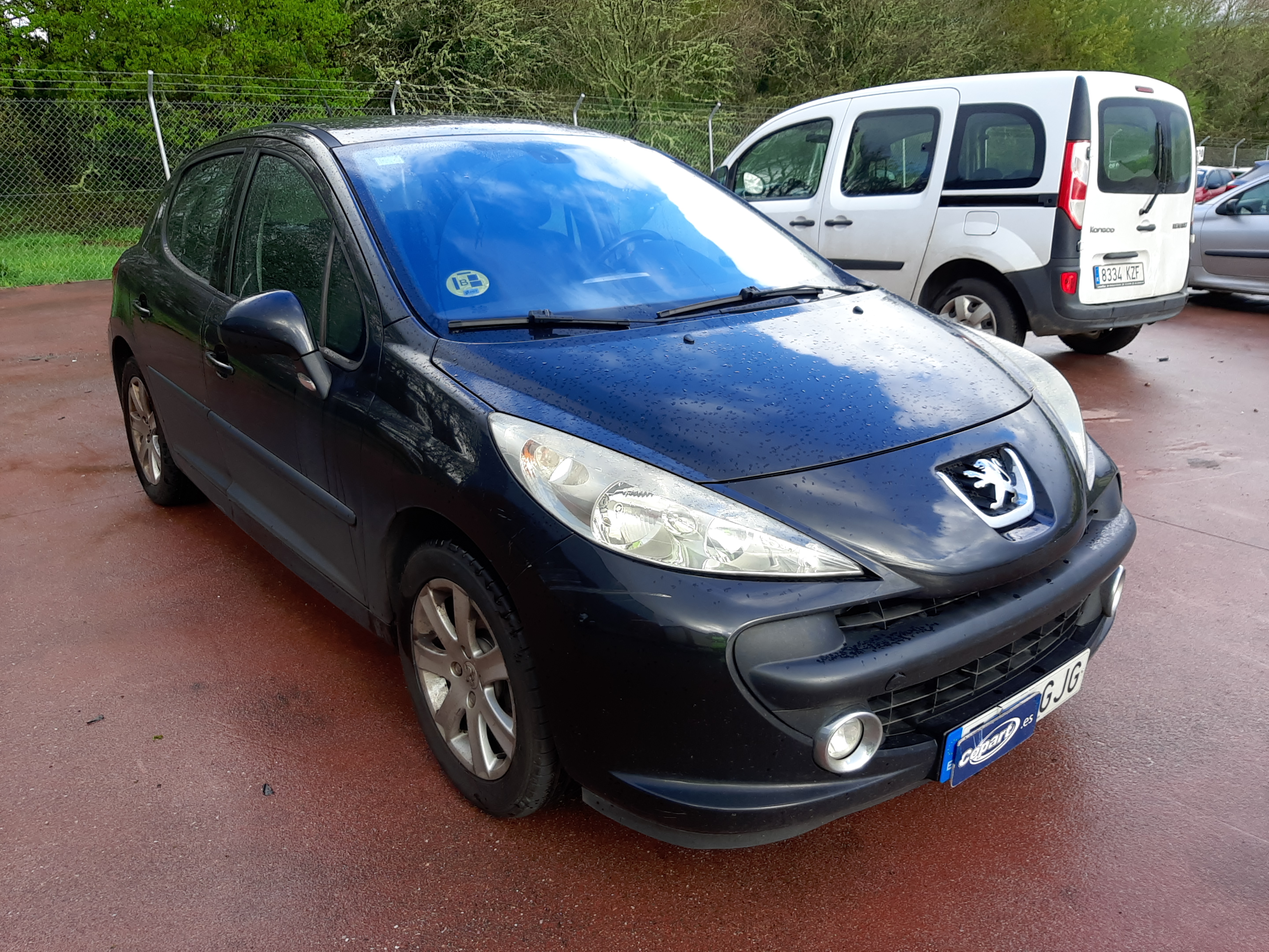 VF3WC9HXC34590662 Peugeot 207 Photo 1