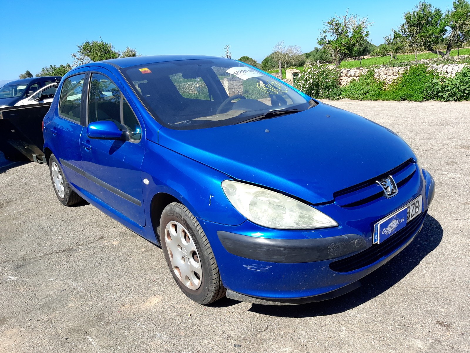 2002 Peugeot 307