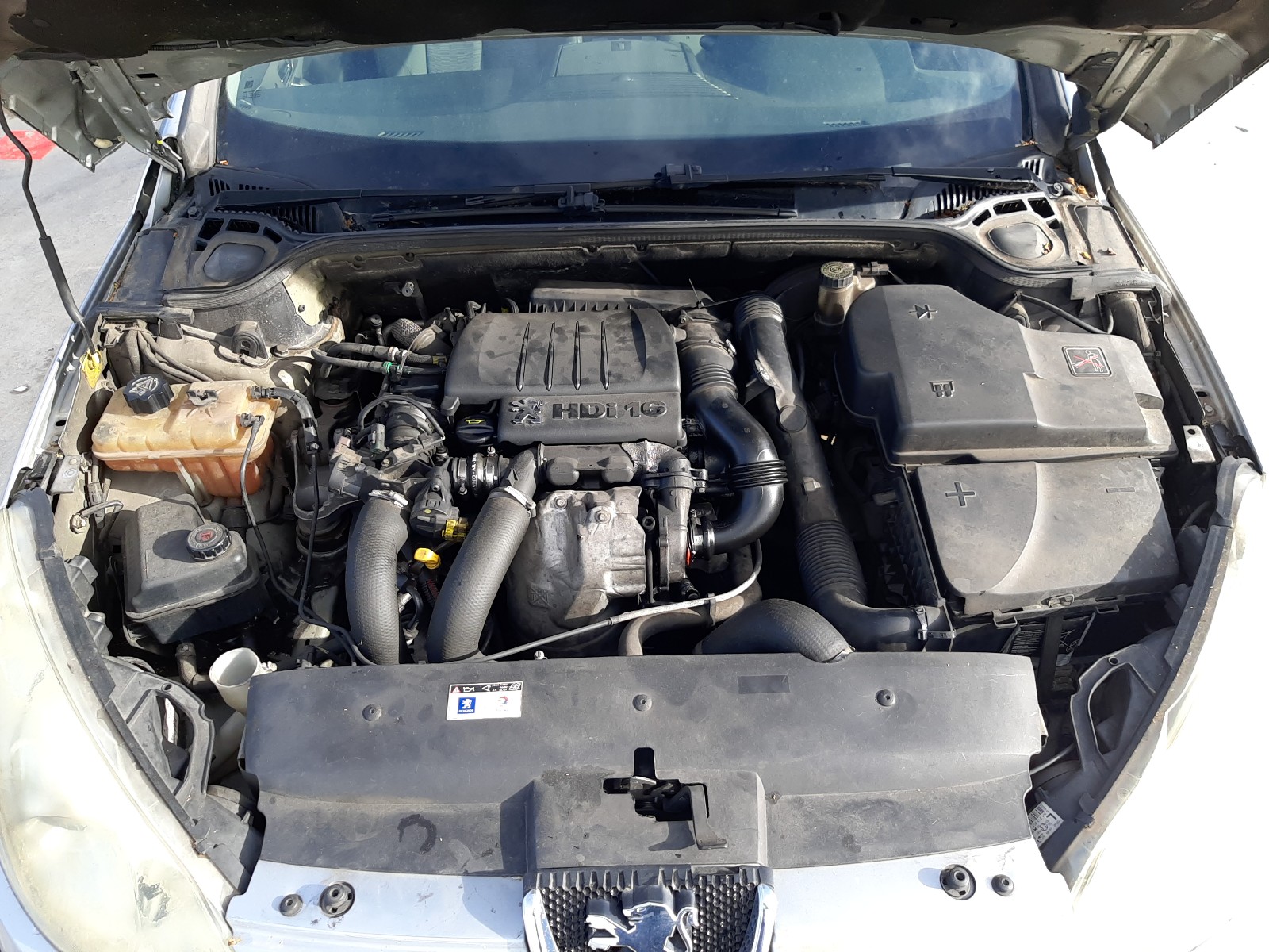 Peugeot 407 SW 2004 VF36E9HZC21129843 Photo 7