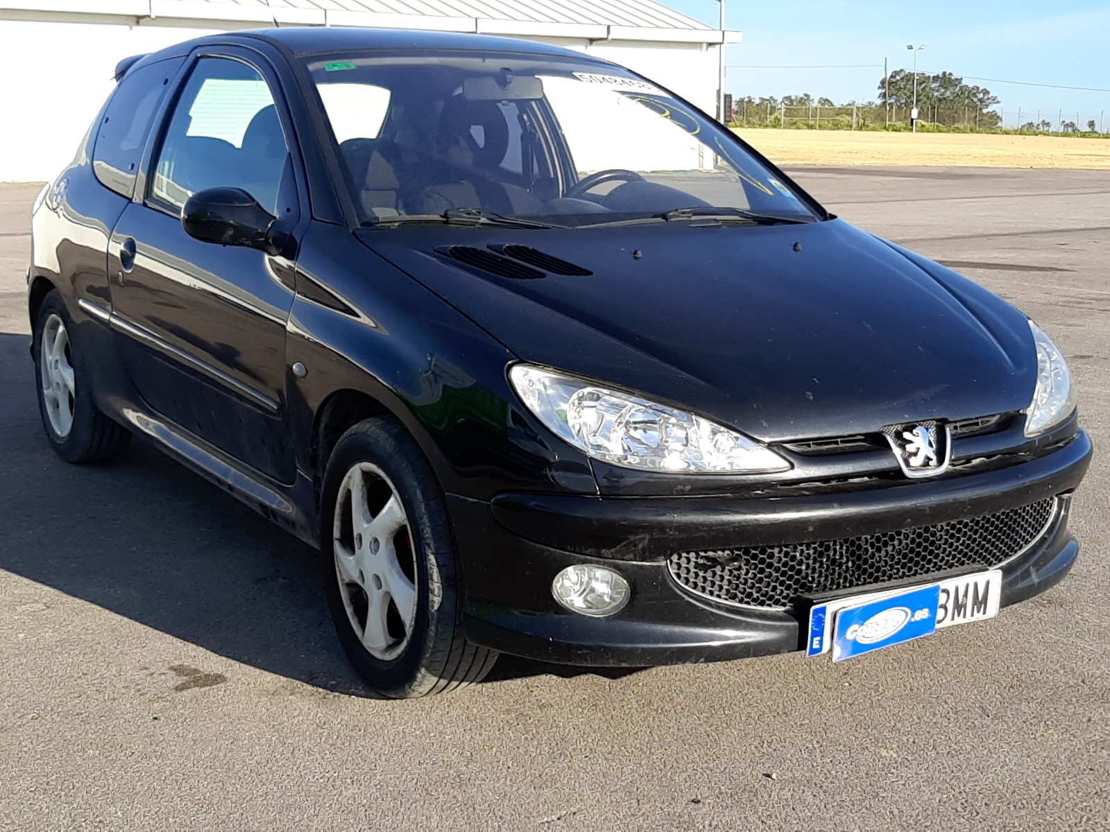 VF32HRHYF41843022 Peugeot 206 Photo 1