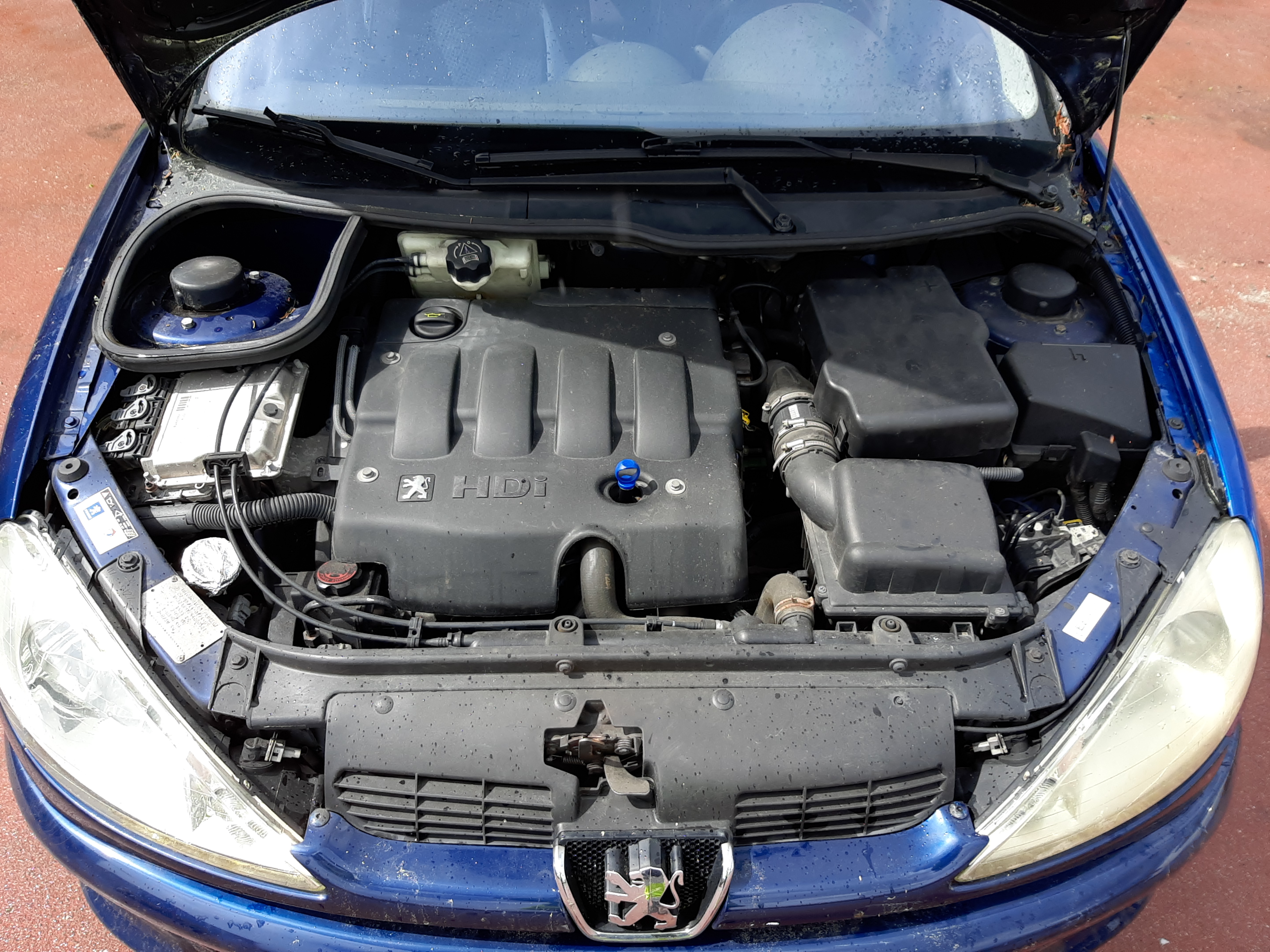 Peugeot 206 2004 VF32ARHYF44000581 Photo 7