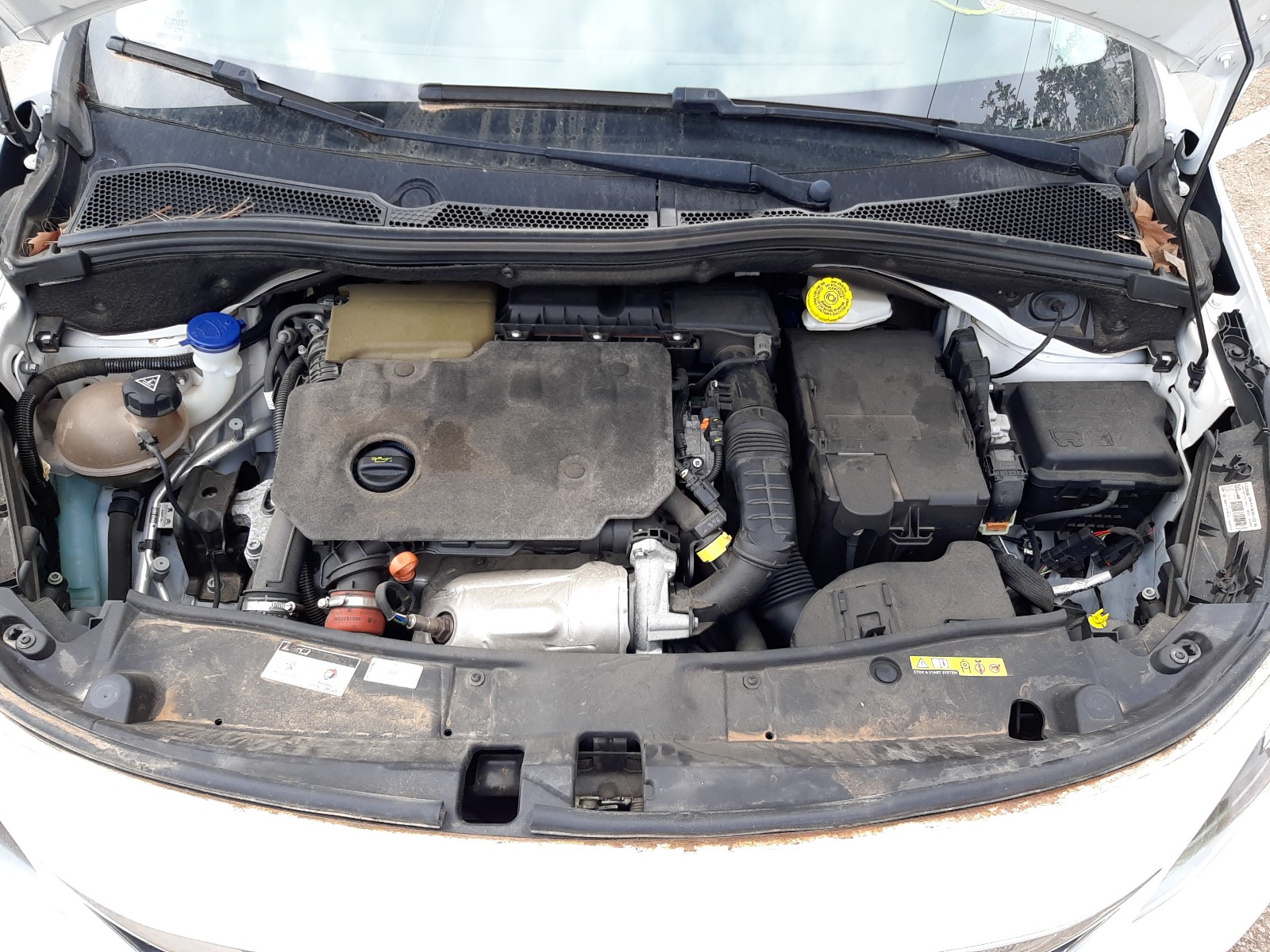 Peugeot 2008 2019 VF3CUYHYPKY068299 Photo 7