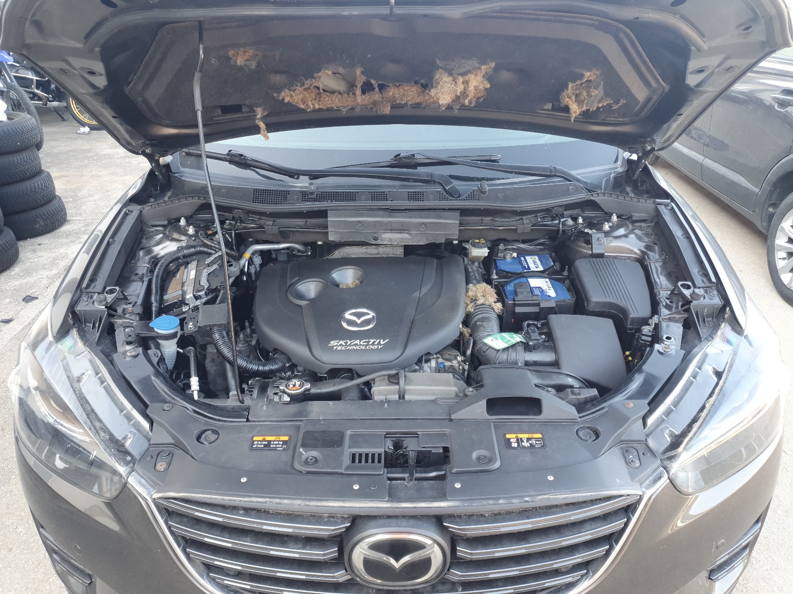 2015 Mazda Mazda CX-5 with Mechanical damage, VIN JMZKEN92800412413