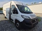 Fiat Ducato 2023  Grossr.-Kasten 35 140 L4H2 RS: 4035 mm