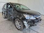 Honda CR-V 2009 Exclusive Edition